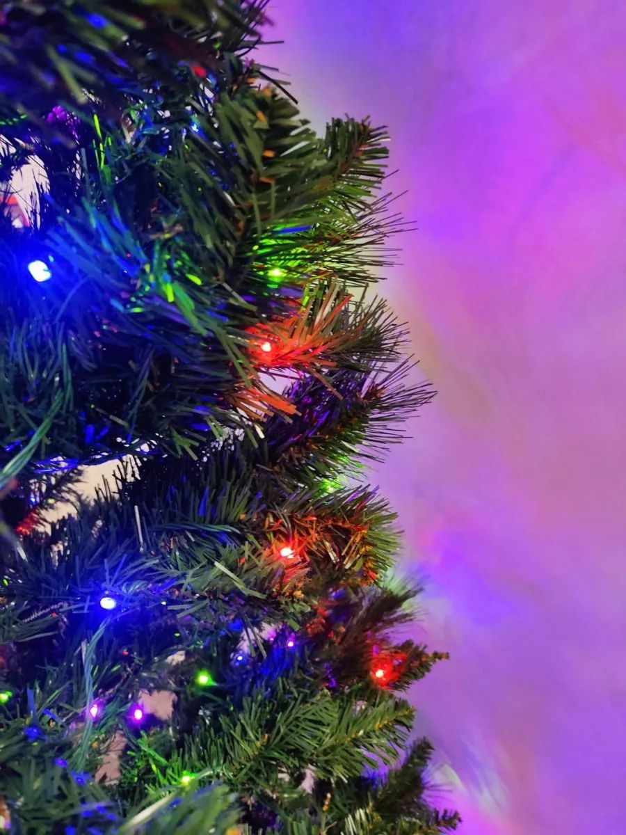 Árbol De Navidad Douglas Preiluminado LED Multicolor  de 2.13mtrs 