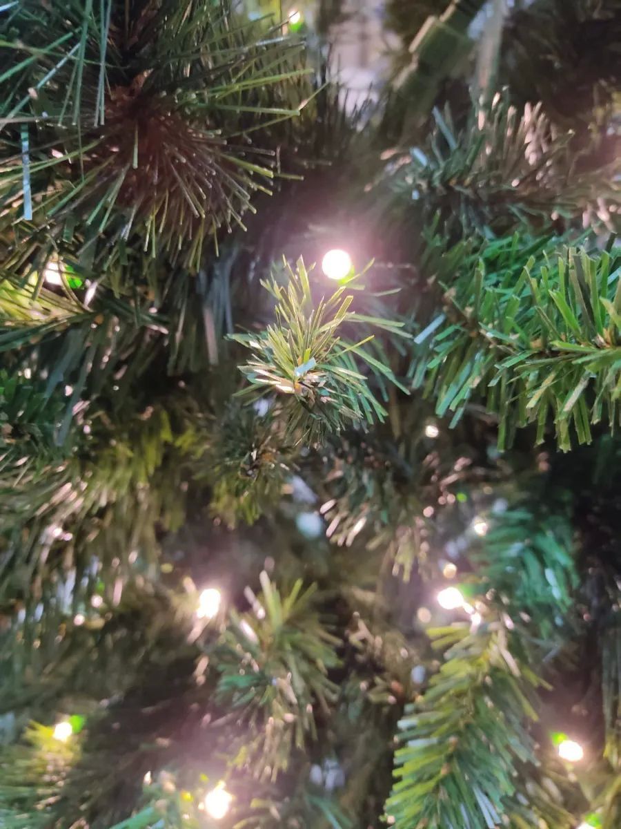 Árbol De Navidad Douglas Preiluminado LED Multicolor  de 2.13mtrs 