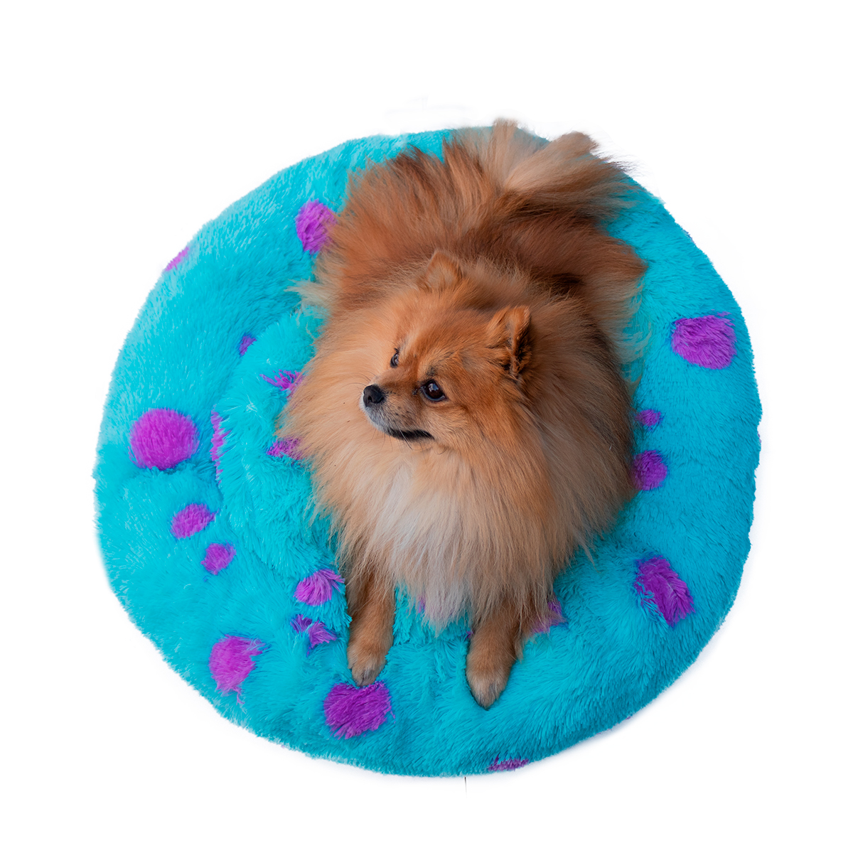 Funda Monstruo Para Cama Mascota Grande Pet Boutique Cómoda Azul.