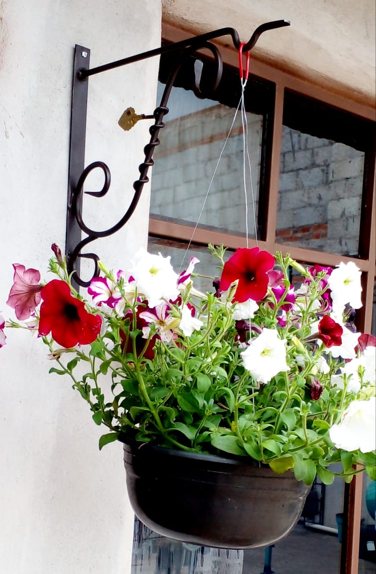 Ménsulas Para Macetas Colgantes Con Hoja 2 Piezas