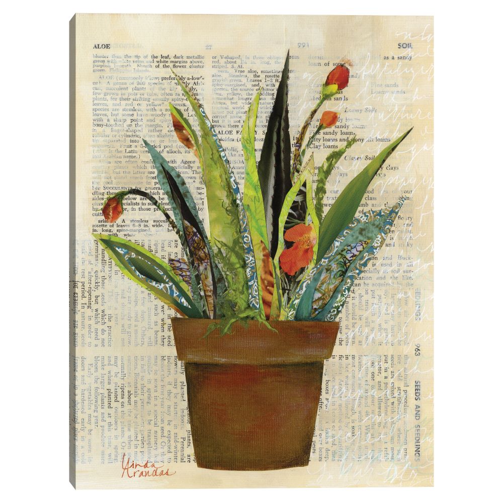 Cuadros Decorativos - Saludos suculentos- Linda Arandas