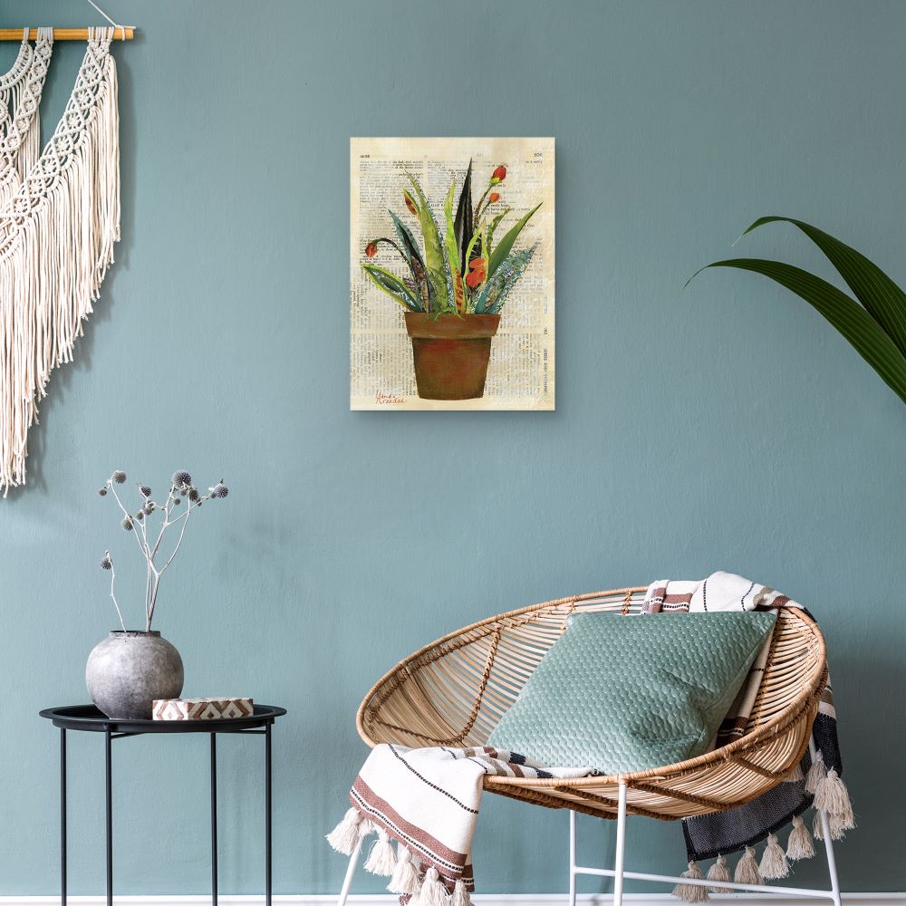 Cuadros Decorativos - Saludos suculentos- Linda Arandas