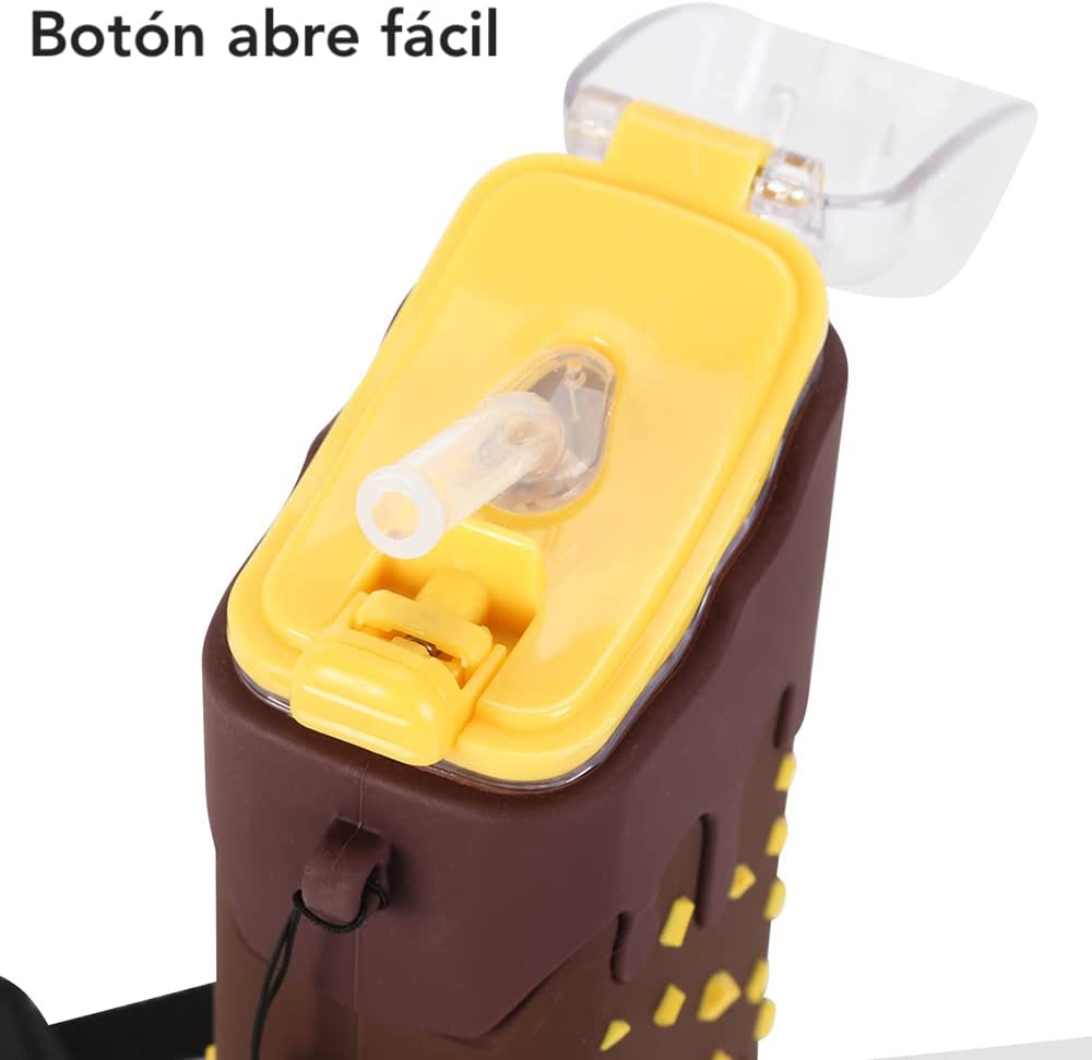 Botella de agua en forma de Paleta Kawaii