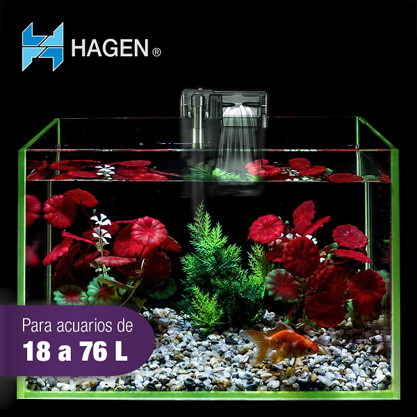 Filtro AquaClear Mini 20 Gal ( 75 L) - Hagen