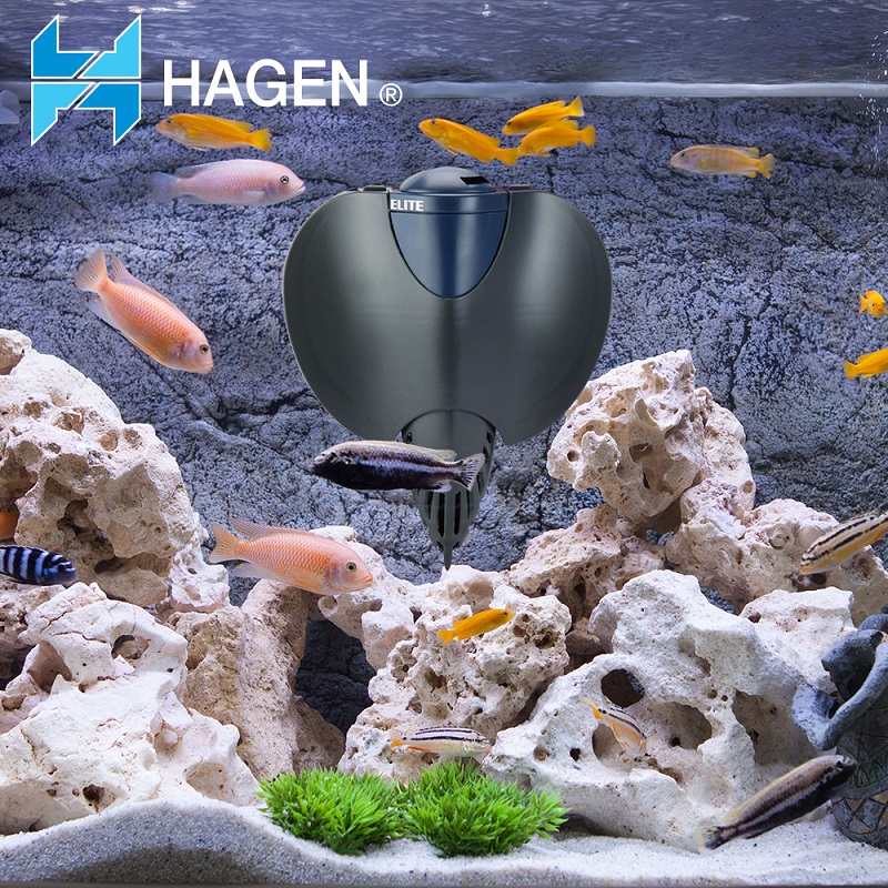 Filtro Elite Stingray para acuarios 15 Gal ( 57 L ) - Hagen
