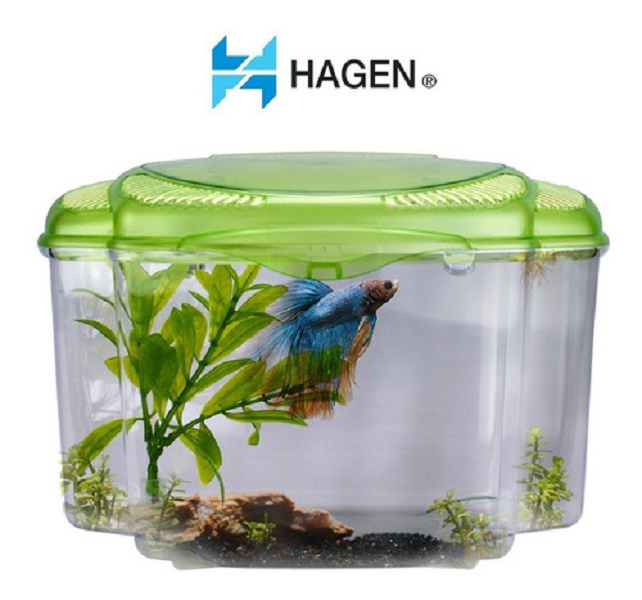 Betta Kit 1.8 L Verde - Hagen