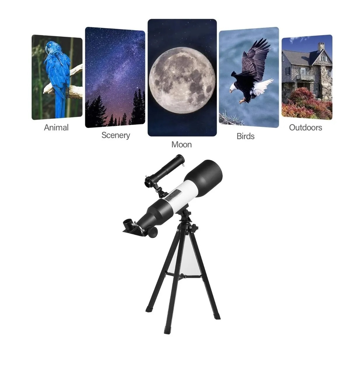 Telescopio Astronómico Ocular Refractor Astronómico 6mm