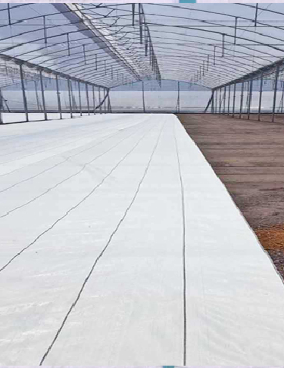 Ground Cover O Malla Antimaleza BLANCO 2X25 M