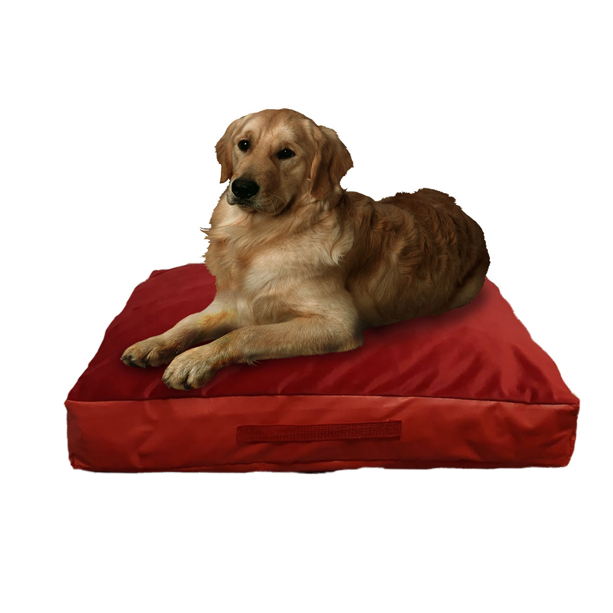 Cama para perro grande Honey Pet