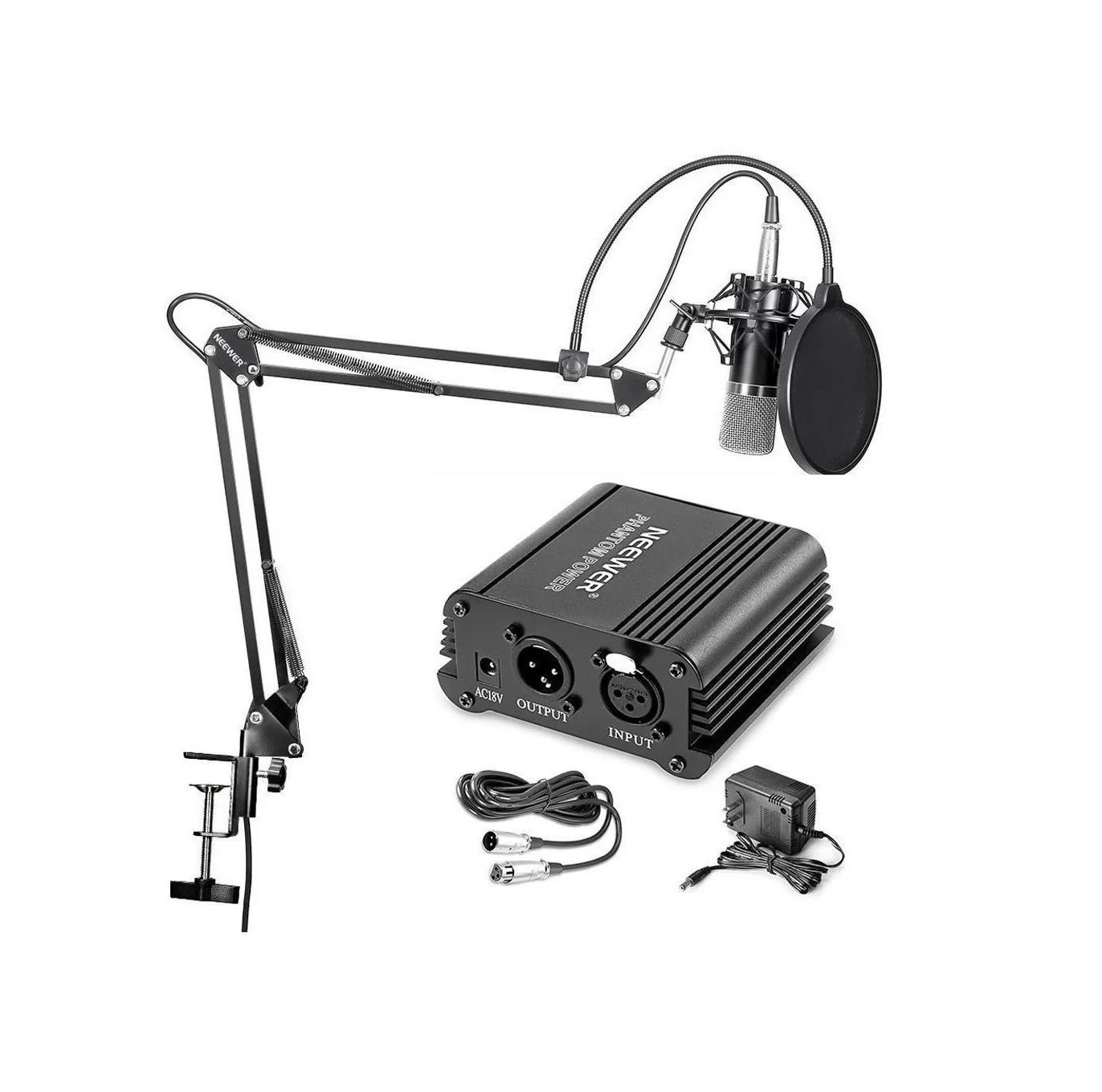 Micrófono Nw-800 Condensador Plata