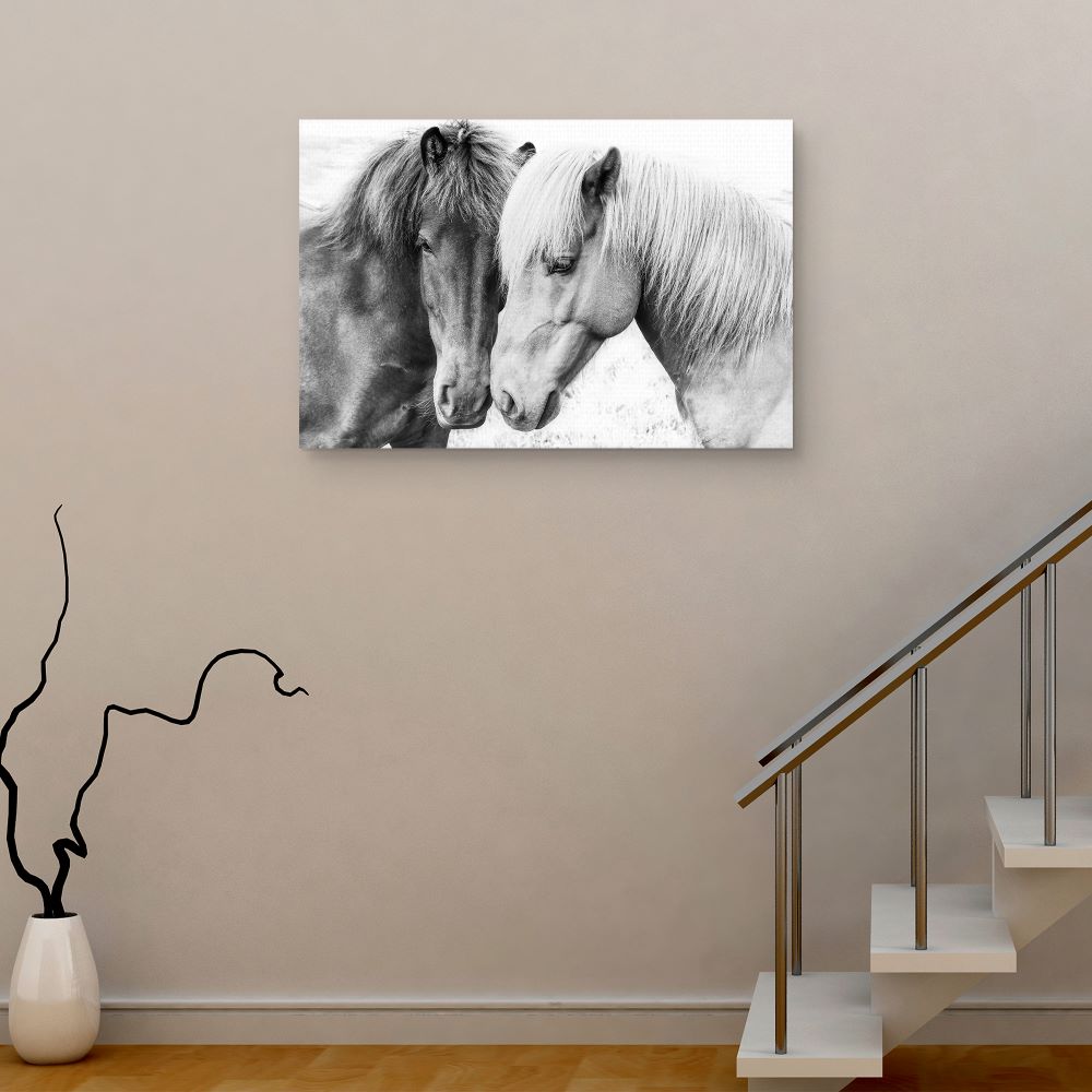 Cuadros Decorativos - Amor por los caballos