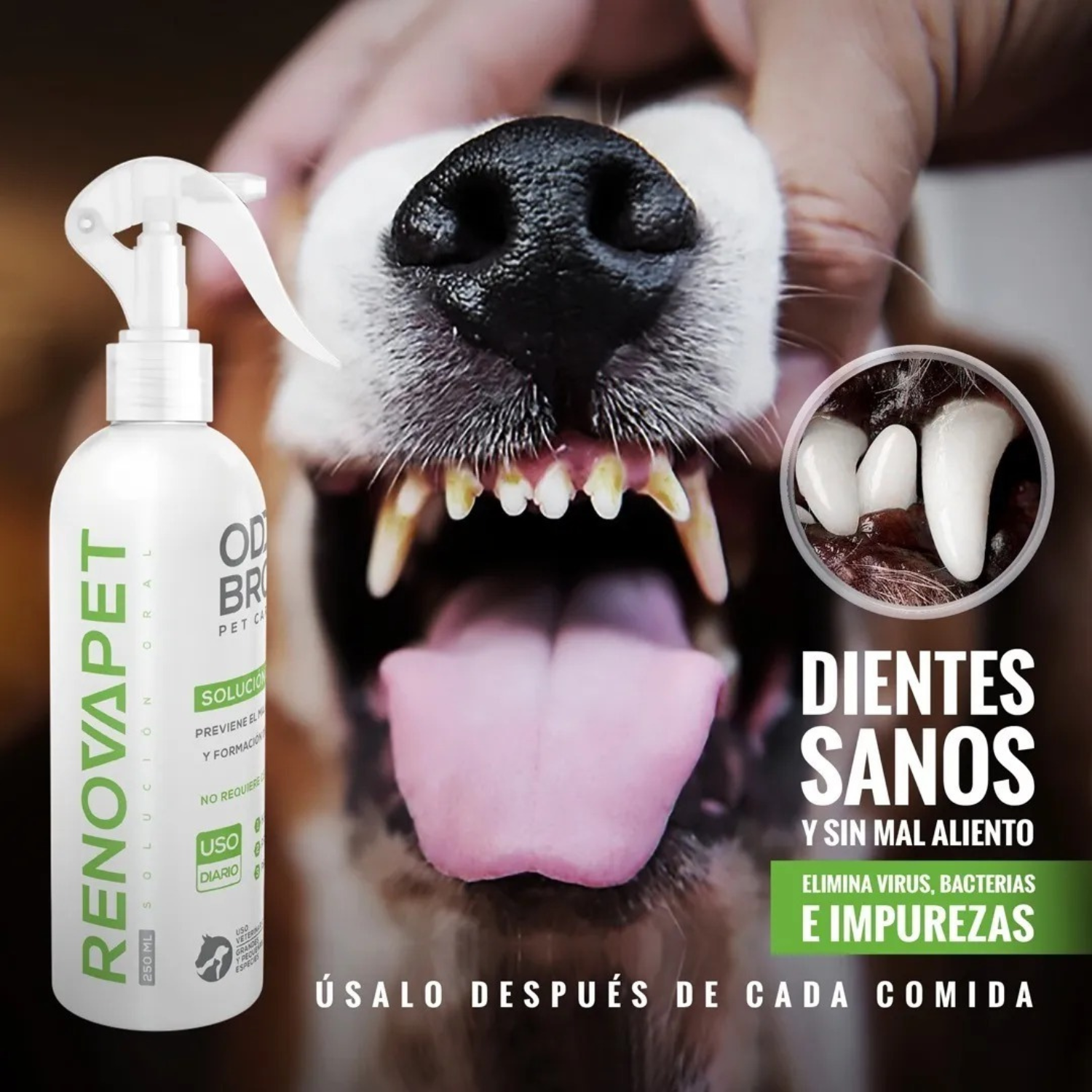 Spray Dental Perros Y Gatos Elimina Sarro Y Placa Mascotas