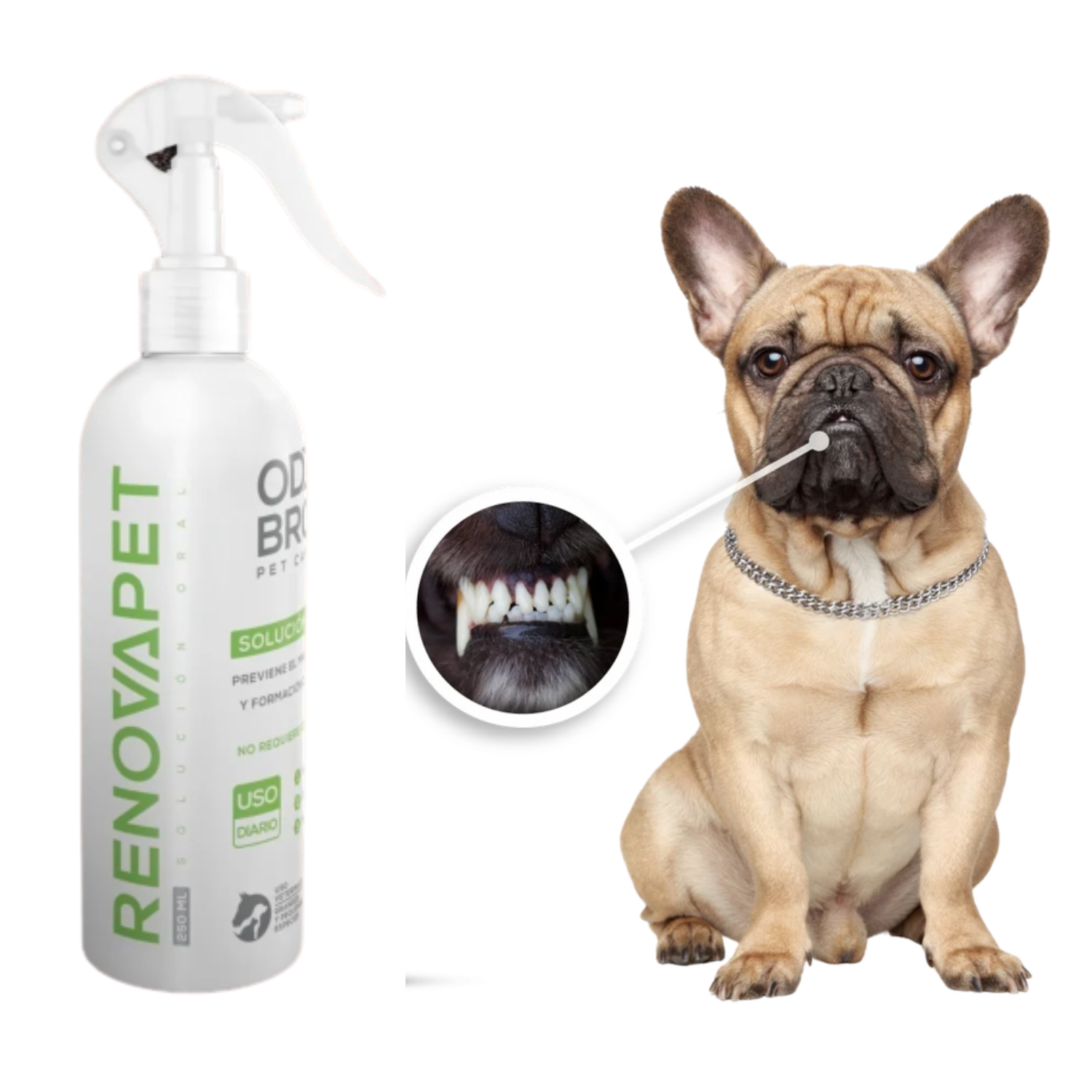 Paquete de  3 piezas  Renovapet Spray Dental y Solución Topica Para Mascotas