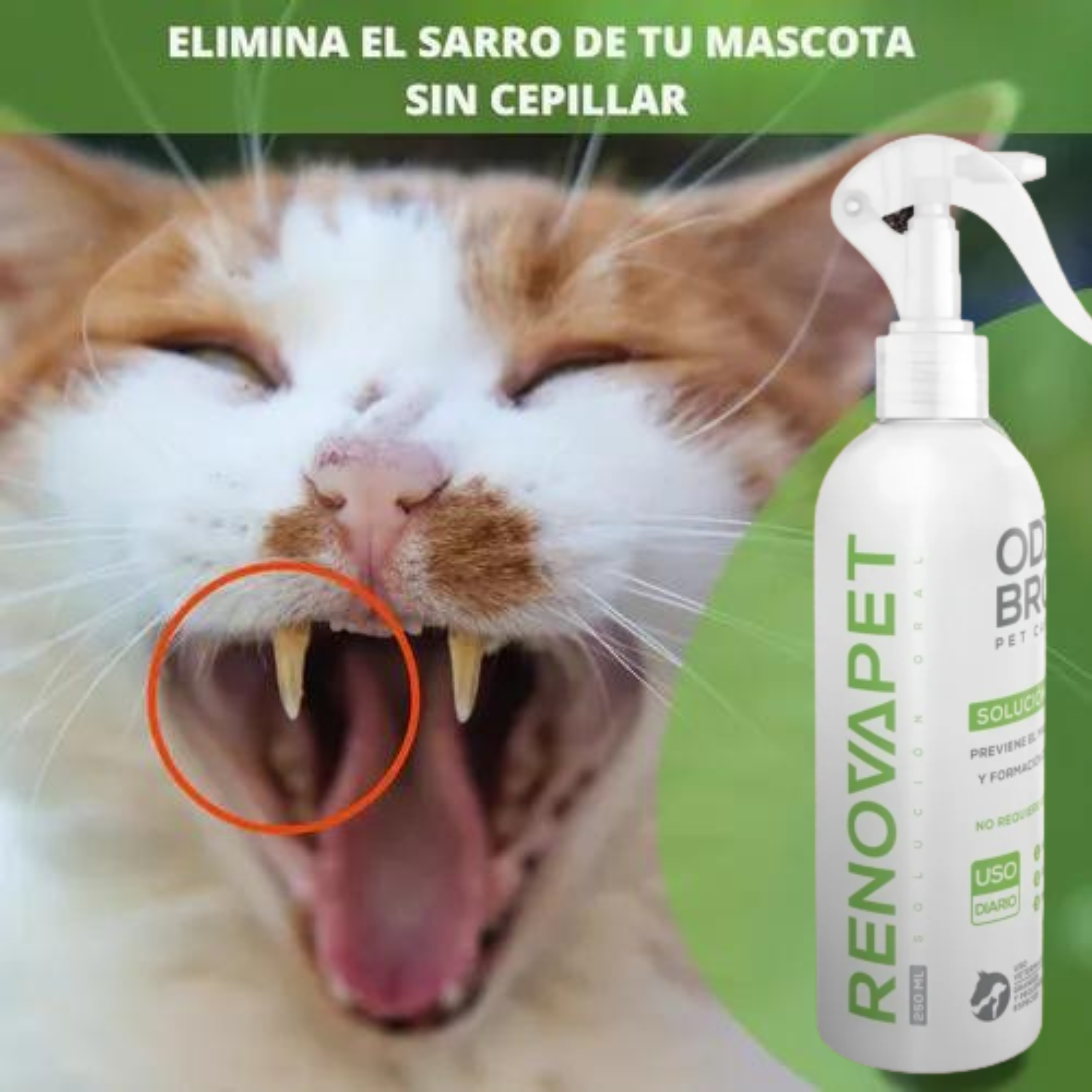Paquete de  3 piezas  Renovapet Spray Dental y Solución Topica Para Mascotas