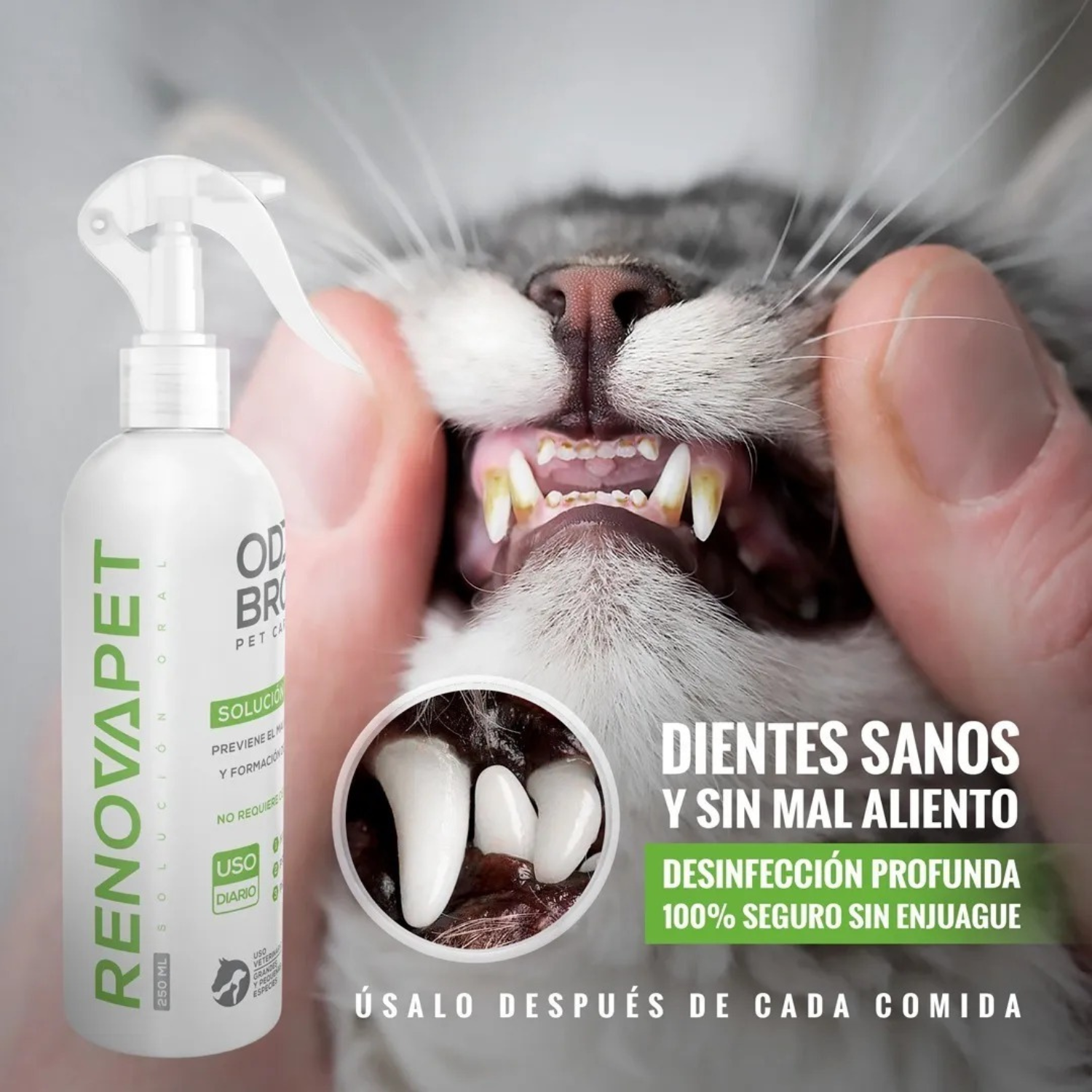 Paquete de  3 piezas  Renovapet Spray Dental y Solución Topica Para Mascotas