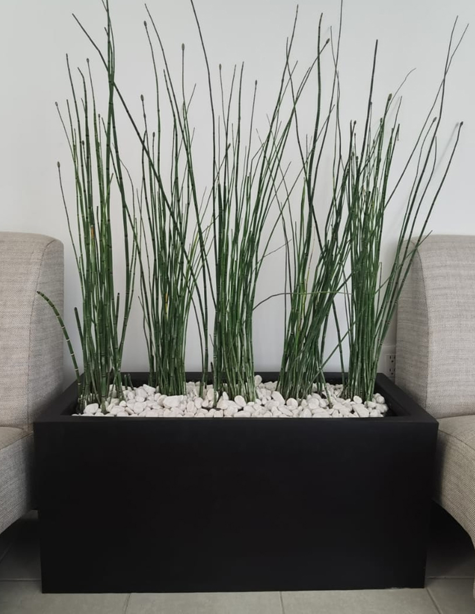 Maceta Minimalista Jardinera Mejor Que Fibra De Vidrio 