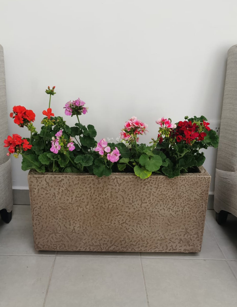 Maceta Minimalista Beige Jardinera Mejor Que Fibra De Vidrio