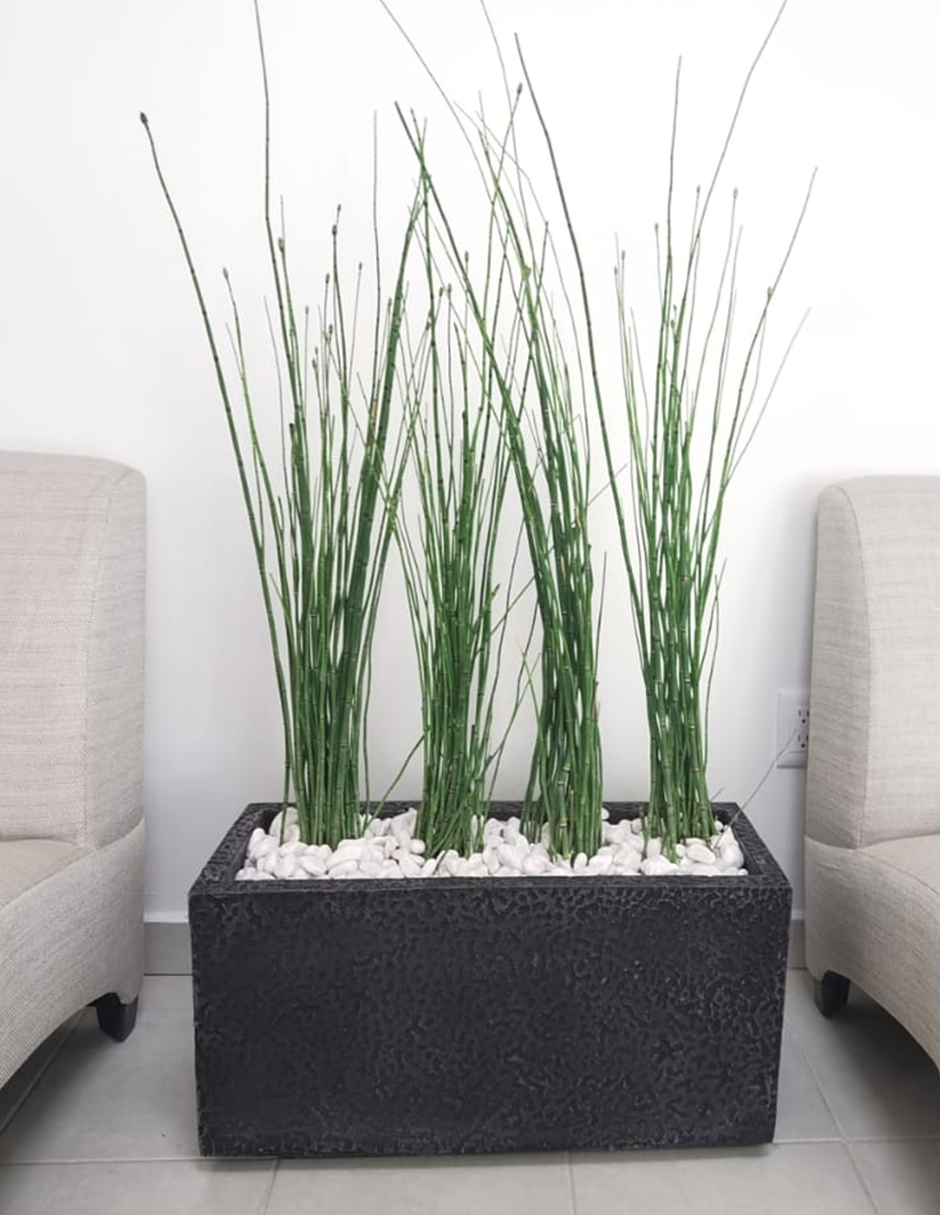 Maceta Minimalista Jardinera Mejor Que Fibra De Vidrio