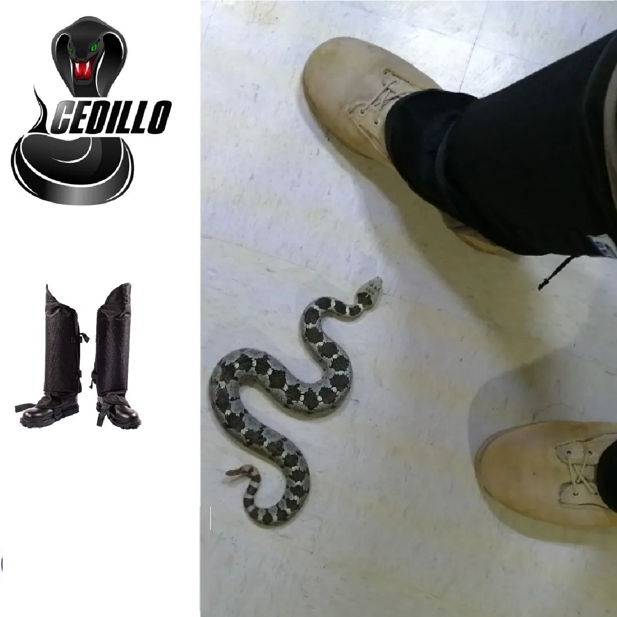 Polaina Viborera Protección Contra Serpientes Negro