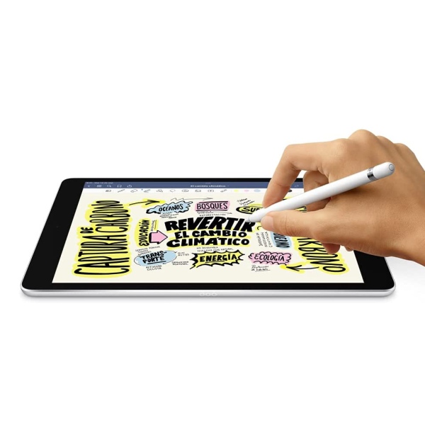 iPad 9th Generation Space Gray 256GB WIFI + Cellular Nueva