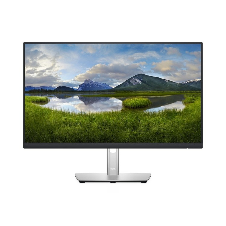 Monitor DELL P2422H, 24 pulgadas, 1920 x 1080 Pixeles 