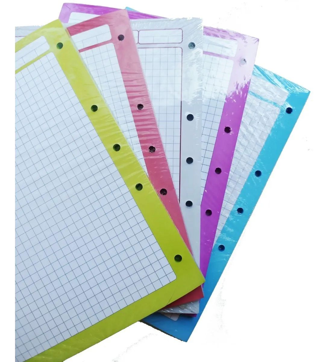 Repuesto Para Carpeta De 500 Hojas - 5 Colores Para Separar Materias - 100 Por Color C7 CUADRO GRANDE