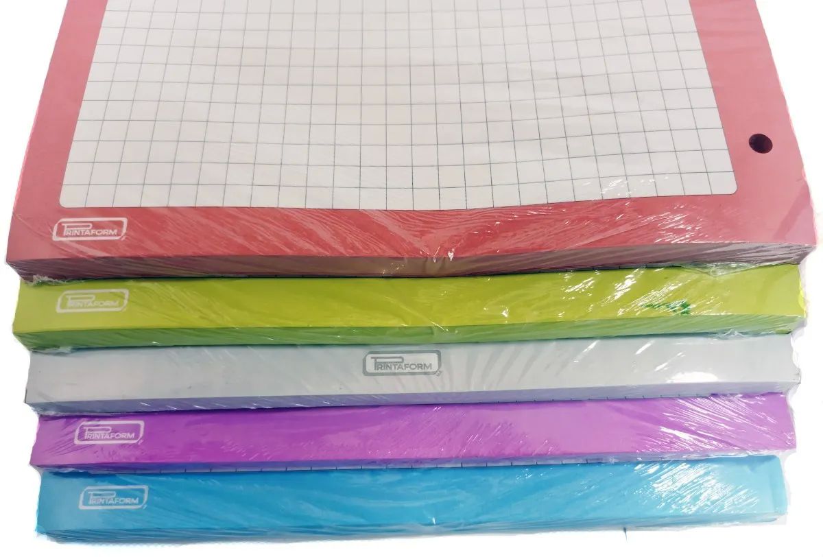 Repuesto Para Carpeta De 500 Hojas - 5 Colores Para Separar Materias - 100 Por Color C7 CUADRO GRANDE