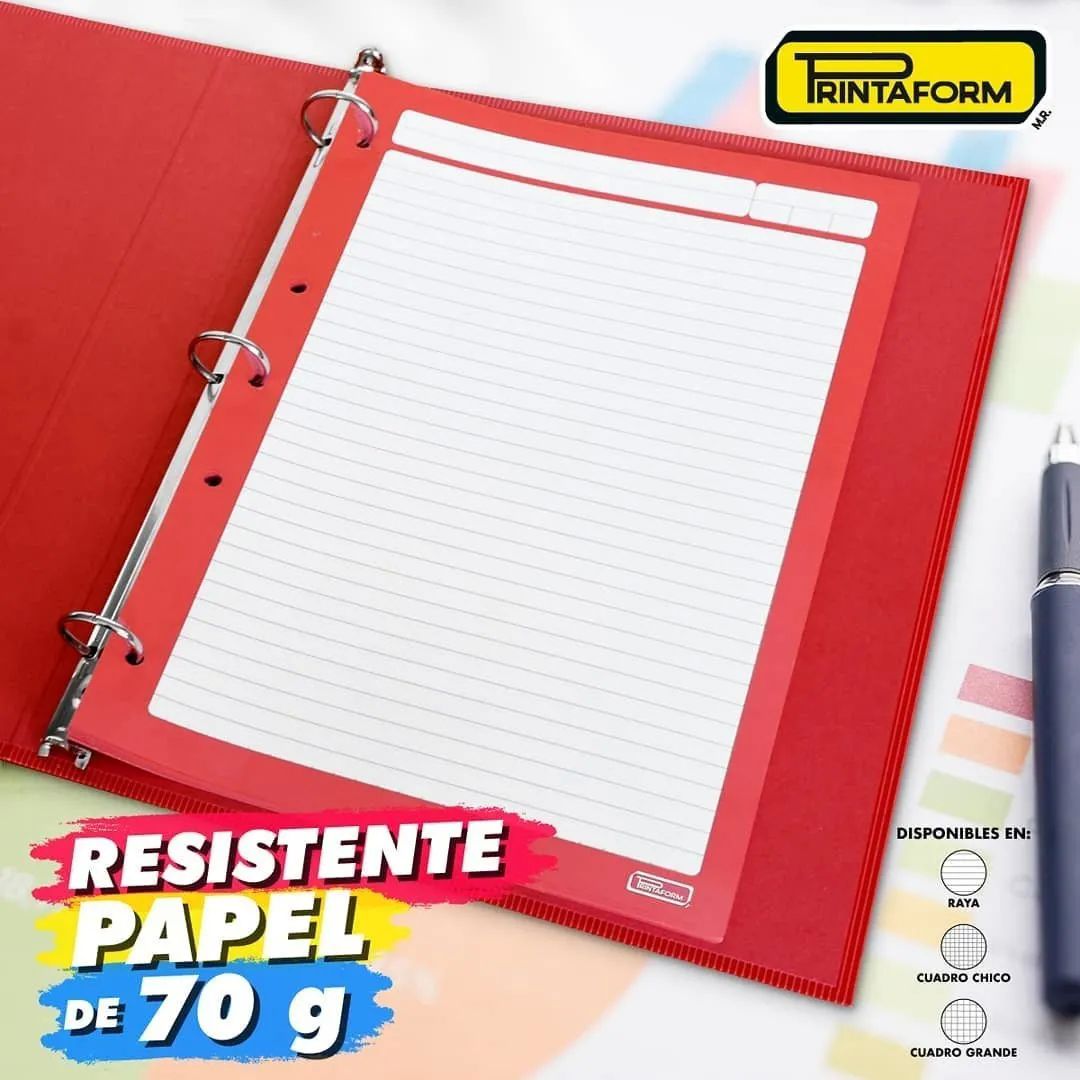 Repuesto Para Carpeta De 500 Hojas - 5 Colores Para Separar Materias - 100 Por Color C7 CUADRO GRANDE