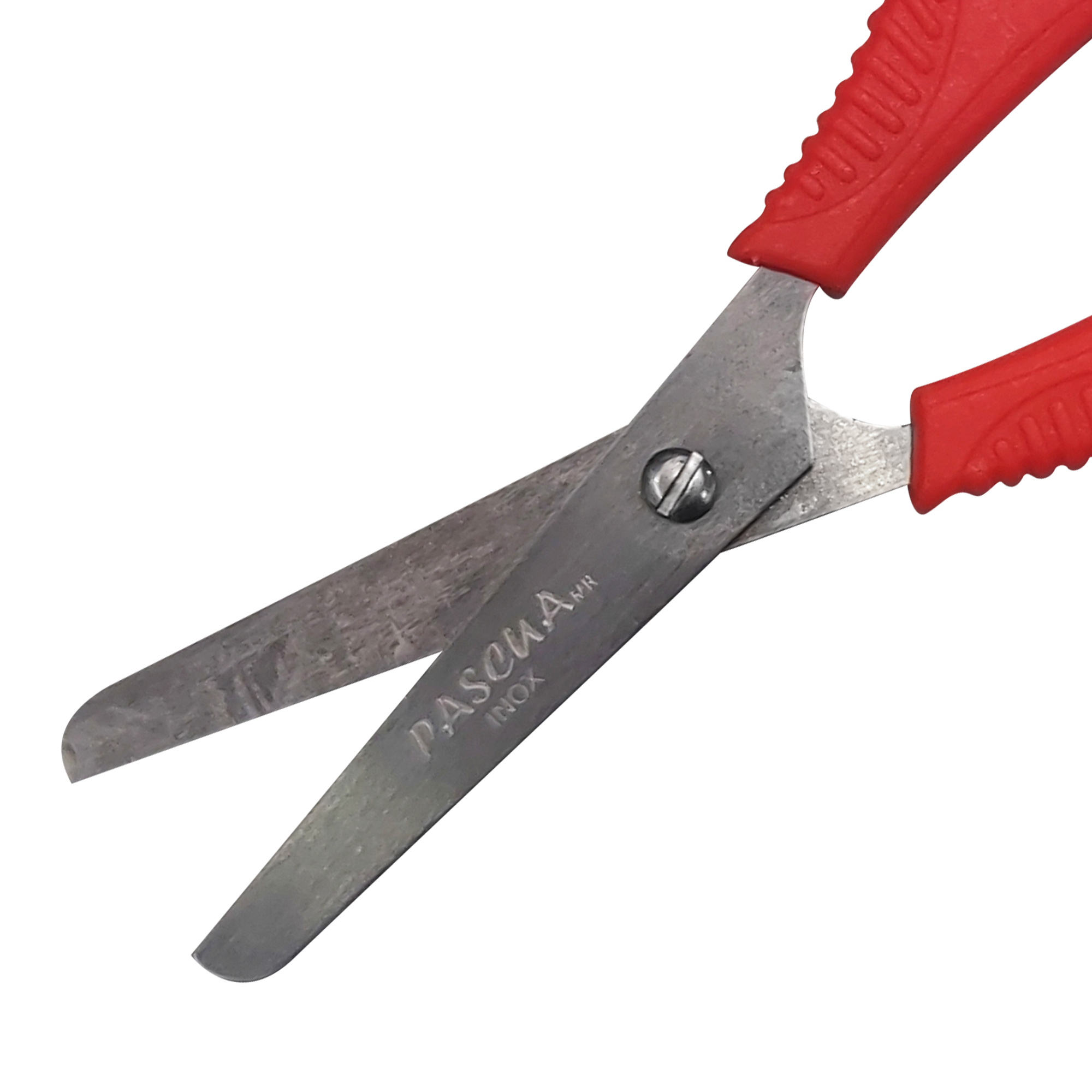 TIJERA ESCOLAR PUNTA ROMA TIJ-ES001 Color Surtido