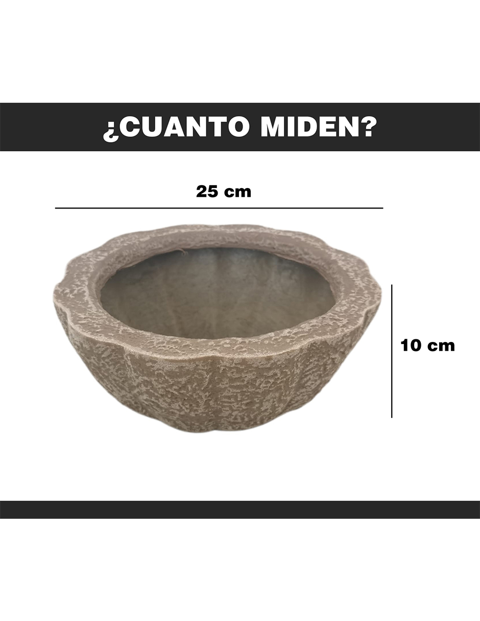 Maceta Minimalista Beige Tazón Mejor Que Fibra De Vidrio