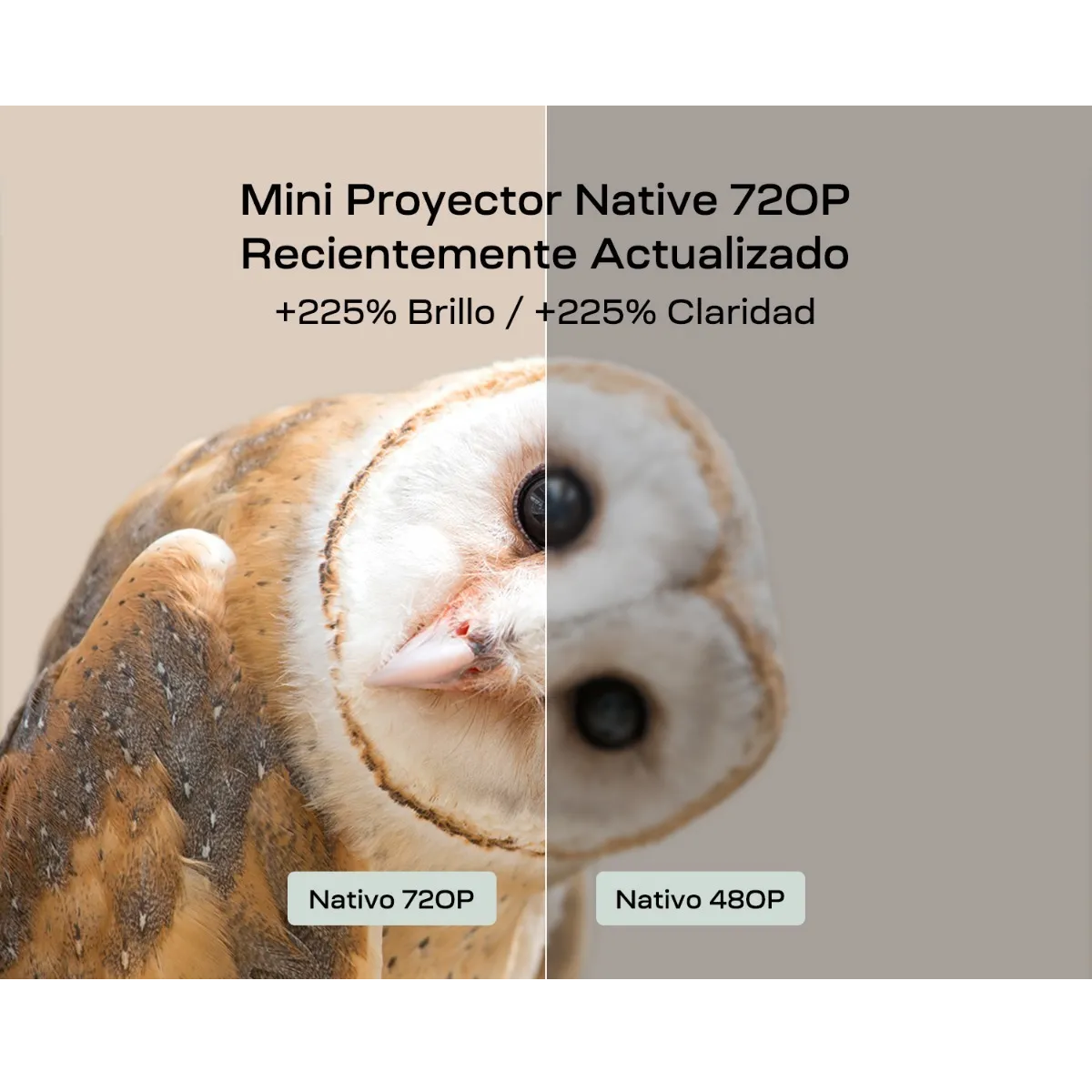 Mini Proyector  Portatil Soporte 1080p Y Pantalla 120