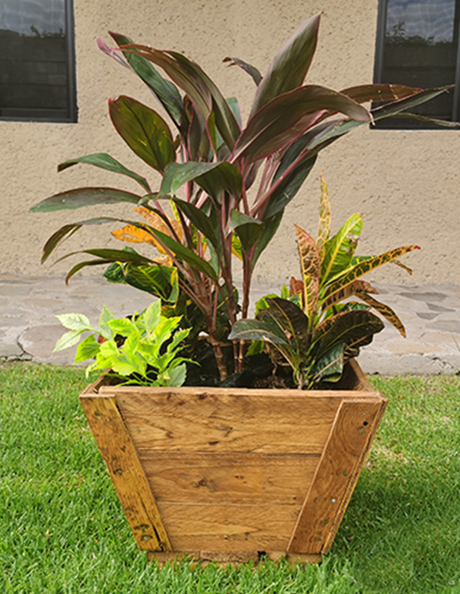 Maceta De Madera Tipo Jardinera De Cono Chico