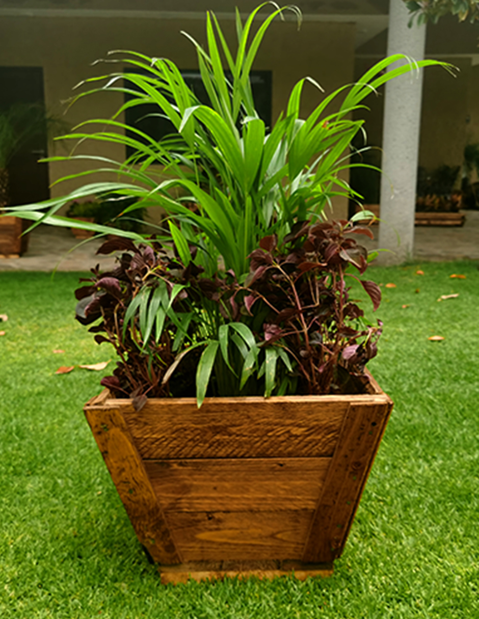 Maceta De Madera Tipo Jardinera De Cono Chico