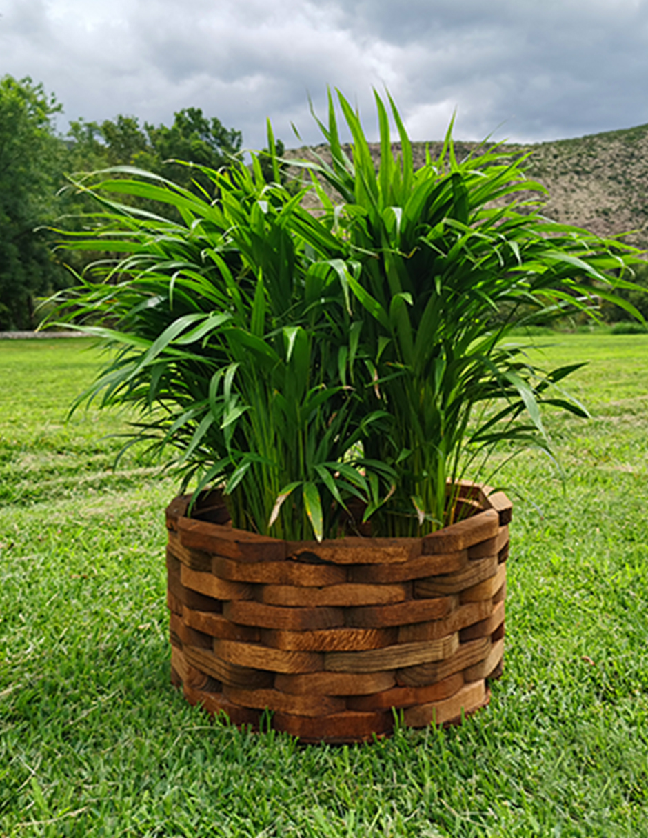 Maceta De Madera Tipo Piña Grande