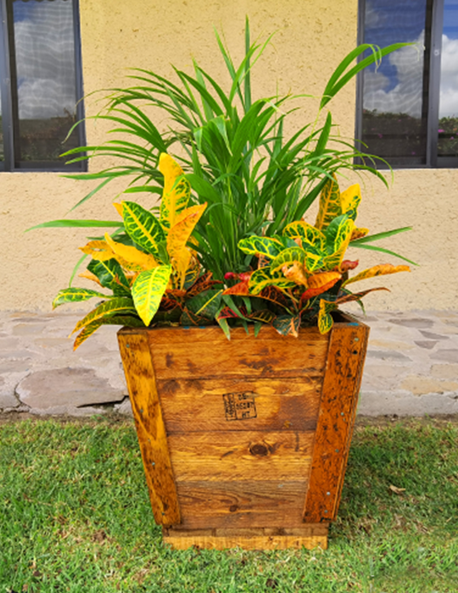 Maceta De Madera Tipo Cono Mediana