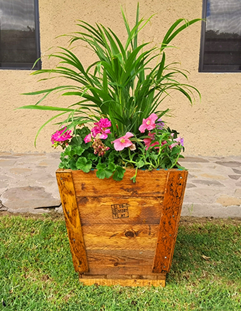 Maceta De Madera Tipo Cono Mediana