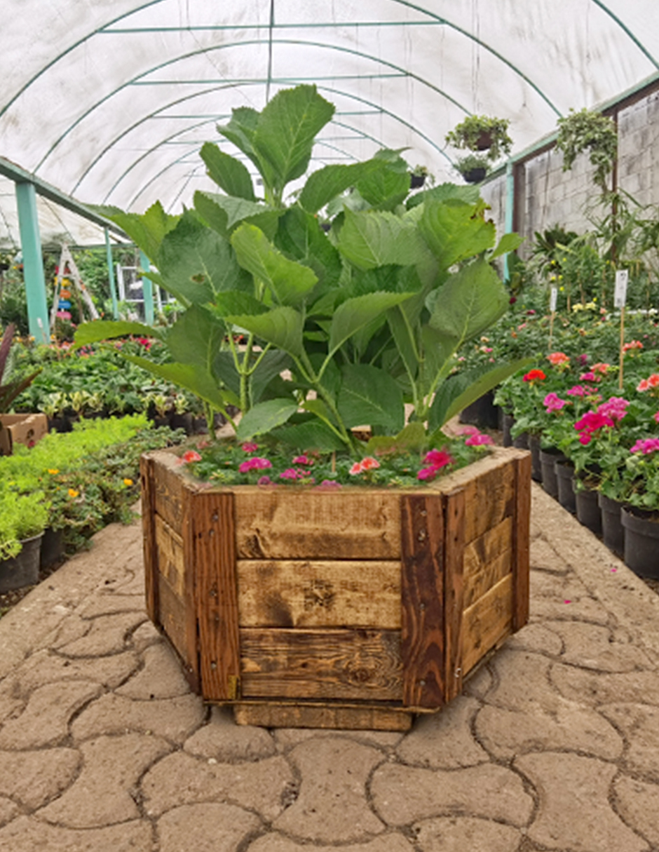 Maceta De Madera Tipo Hexagonal