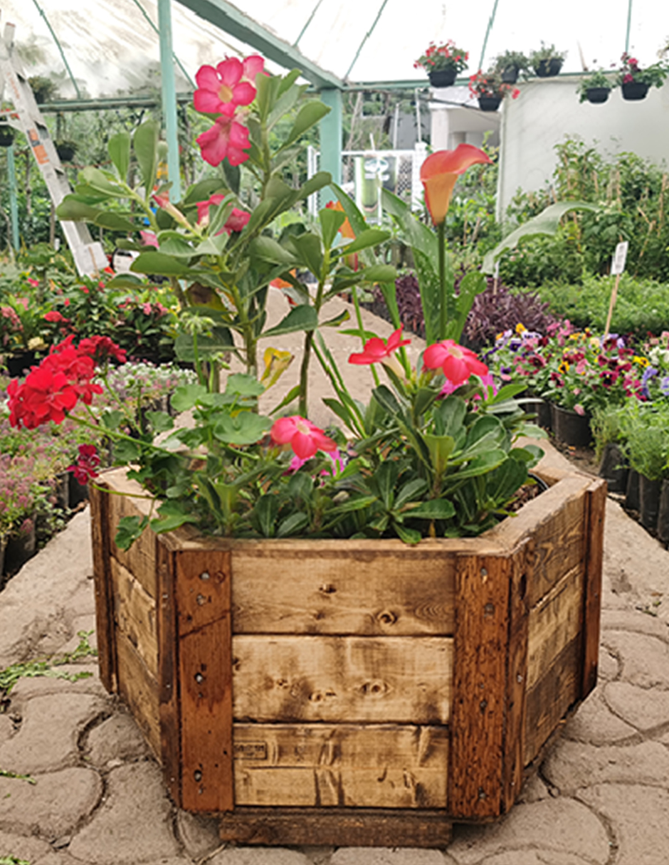 Maceta De Madera Tipo Hexagonal