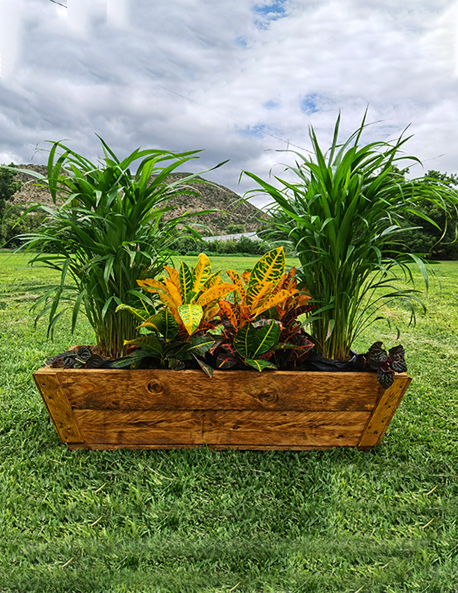 Maceta De Madera Tipo Jardinera De 1 Metro De Largo