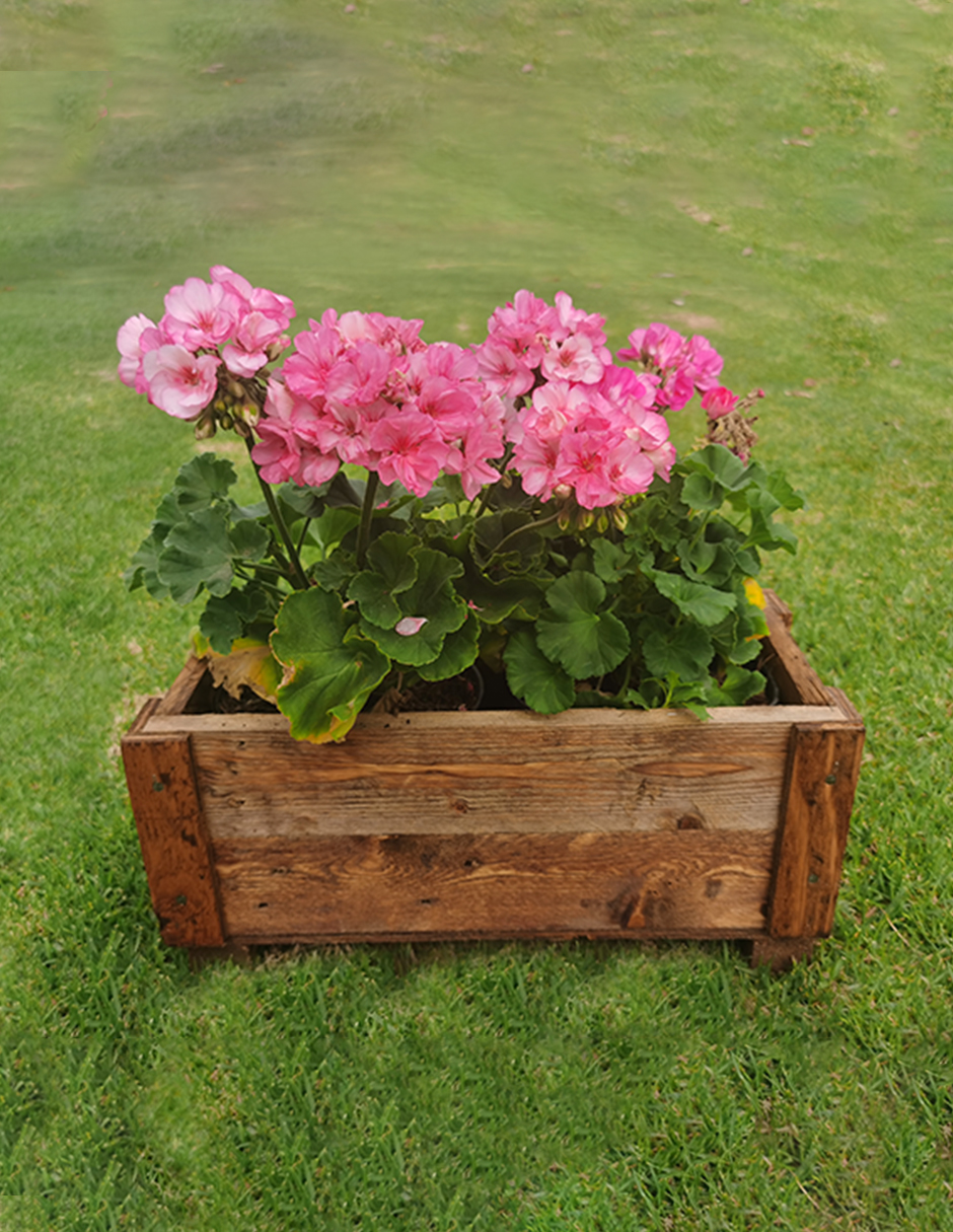 Maceta De Madera Tipo Jardinera De Barrote Chica