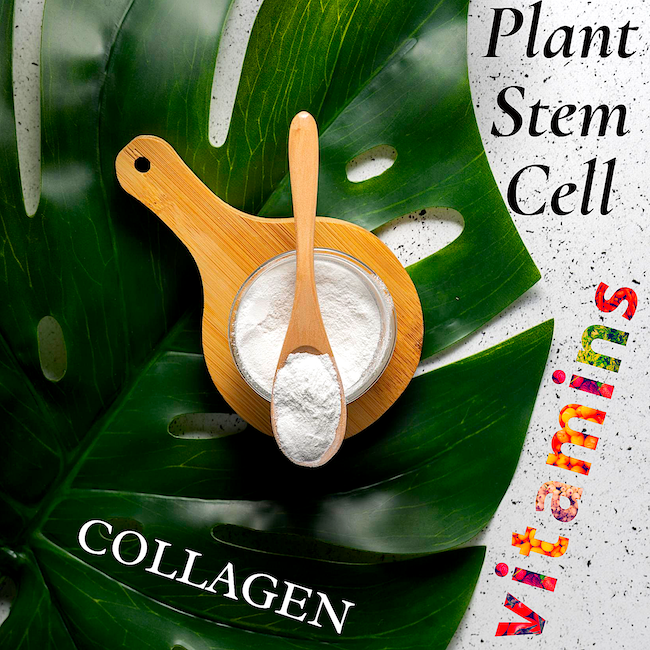 Botox Capilar Vegano Hipoalergénico Keratina, Colágeno, Aceite de Argán, Células Madres Vegetales, Vitaminas Para Todos Los Cabellos 500 Ml