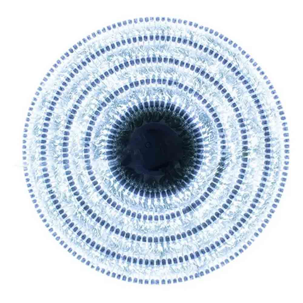 Lucs Led serie 50 Focos Blanca