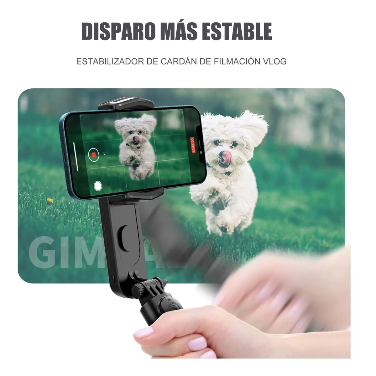 Estabilizador Gimbal Con 3 Modelo De Luz Led Para Celular