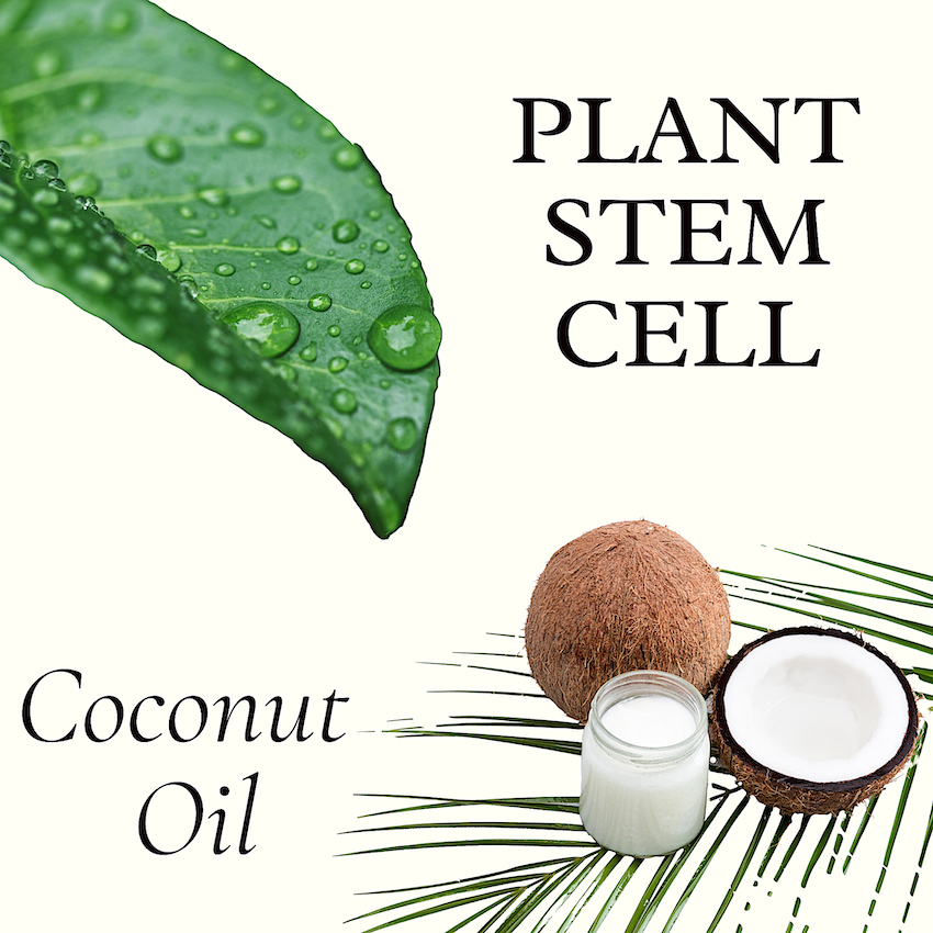  Acondicionador Aclarante de Manzanilla Sensitive Reforzado con Células Madres Vegetales Para Volumen y Crecimiento del Cabello 1 Litro