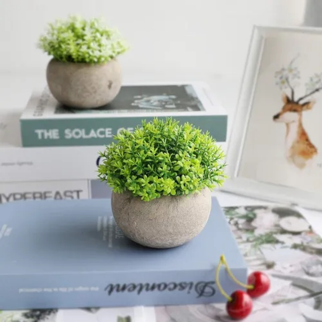 2 Plantas Artificiales Macetas Decorativas Bonsai Hogar