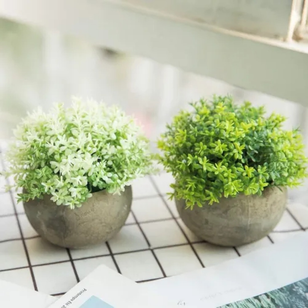 2 Plantas Artificiales Macetas Decorativas Bonsai Hogar