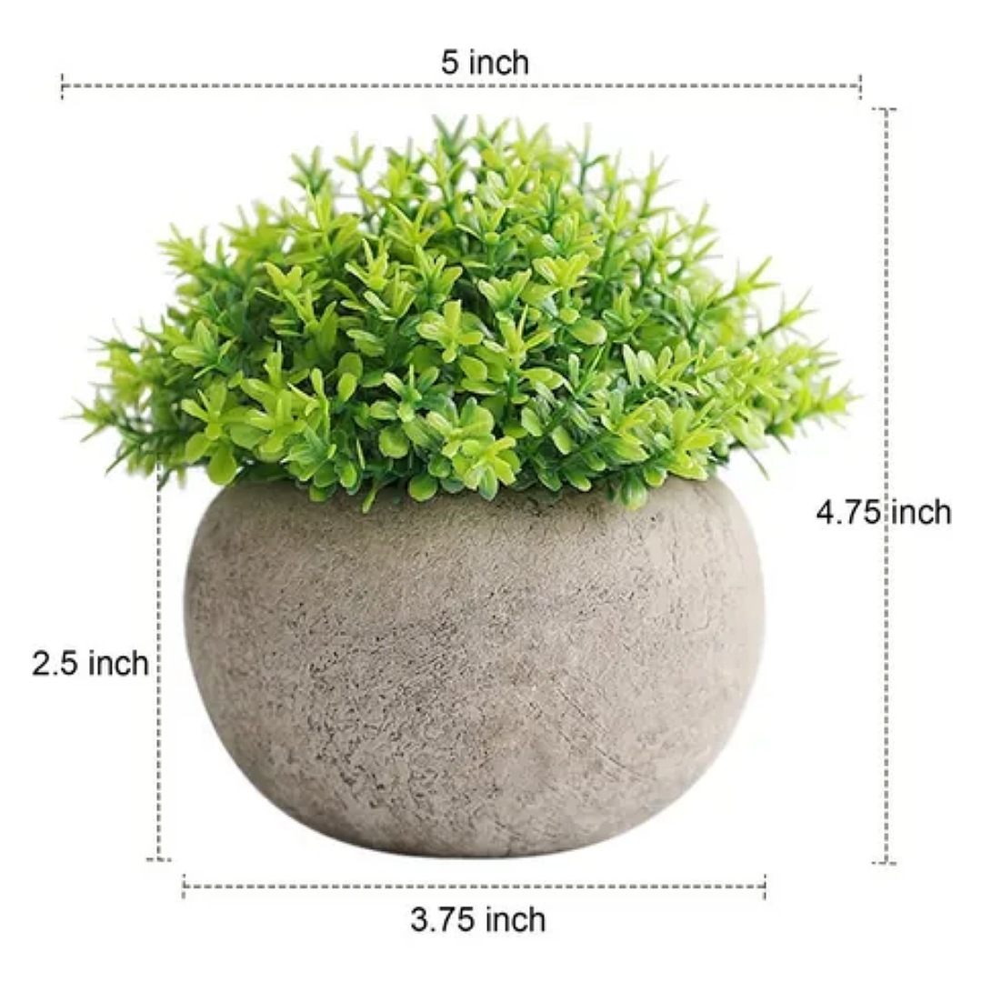 2 Plantas Artificiales Macetas Decorativas Bonsai Hogar