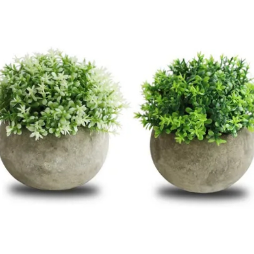 2 Plantas Artificiales Macetas Decorativas Bonsai Hogar