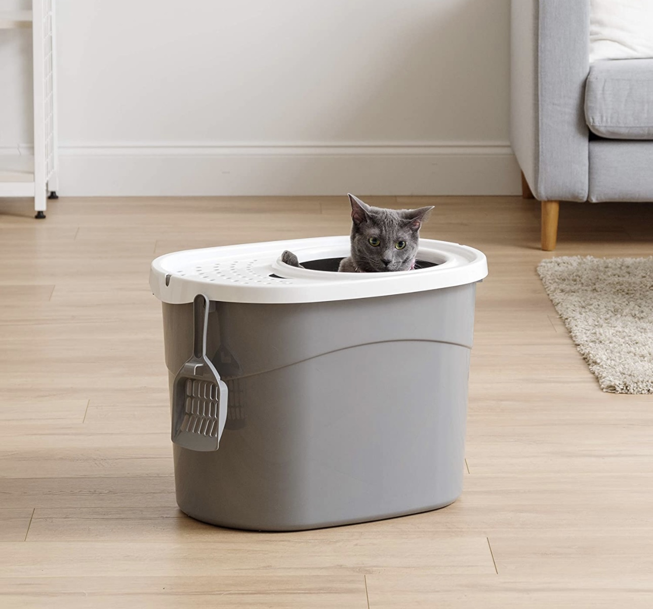 Arenero Para Gato Con Caja De Entrada Superior