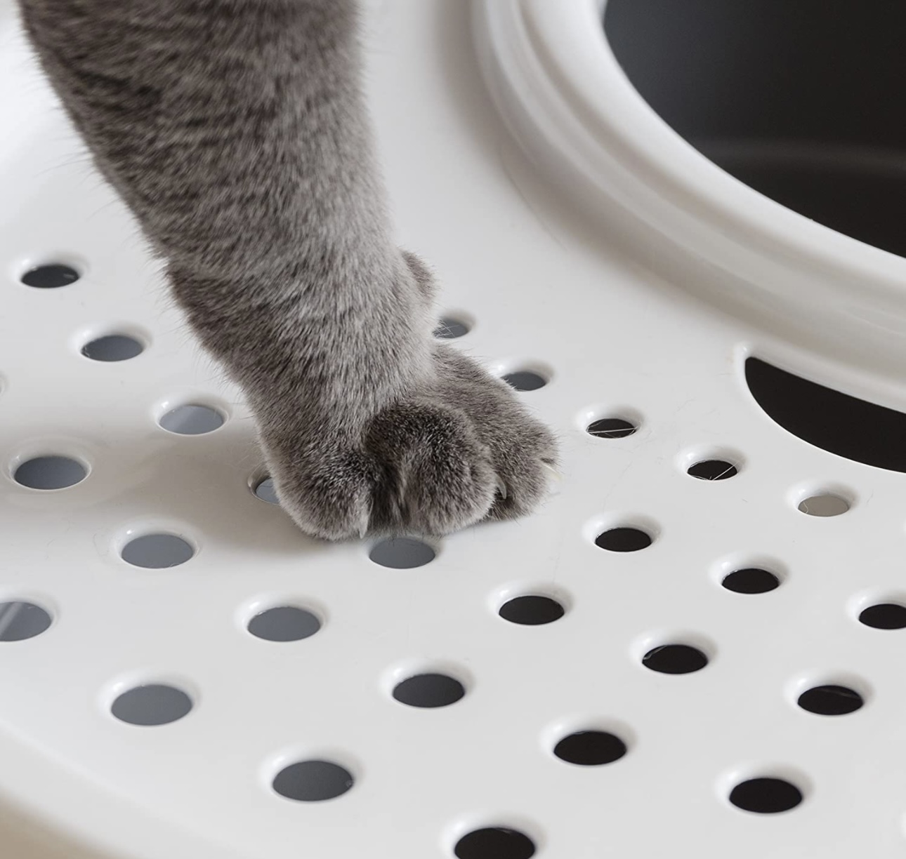 Arenero Para Gato Con Caja De Entrada Superior